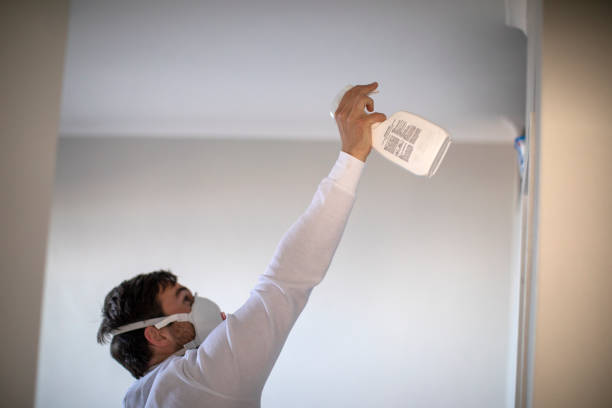 Best Home Mold Removal  in Rugby, ND